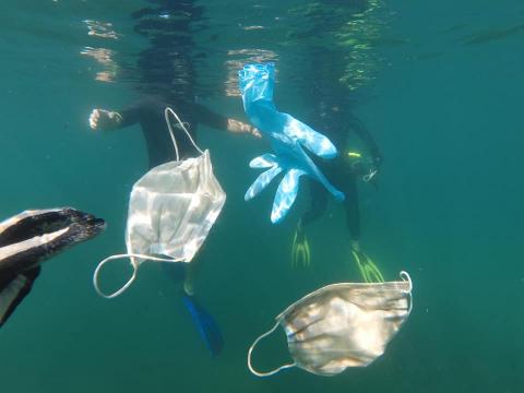mascherine in mare
