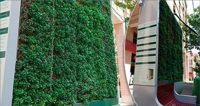 pannello verde con muschio
