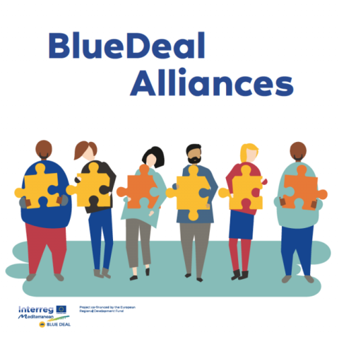 logo of the Blue Transantional Alliance