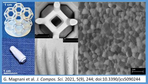 Nell'immagine stampa 3D di materiali ceramici biocompatibili