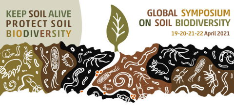 Global Symposium sulla biodiversità del suolo 2021