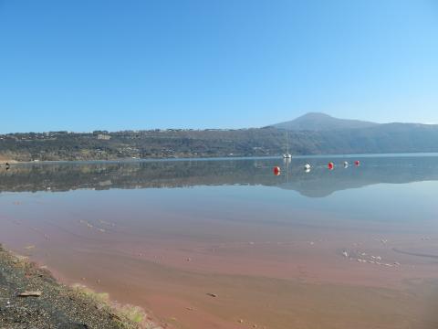 Fioritura di cianobatteri sul lago di Albano (Lazio)