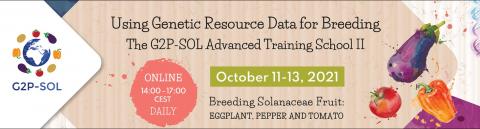 Locandina G2P-SOL training school II