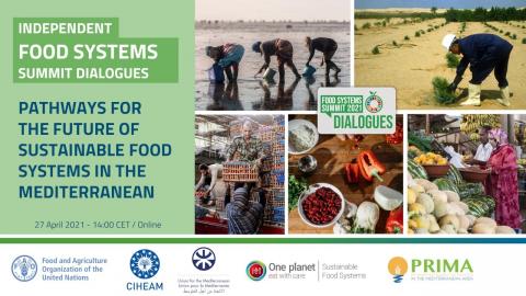 Logo evento Independent Food Systems Summit Dialogues