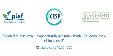 locandina di presentazione del webinar
