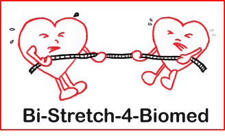 logo bi-stretch
