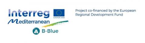 Logo Progetto B-Blue