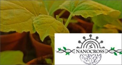 Progetto Nanocross