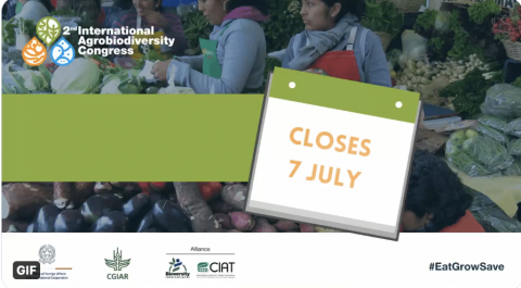 Locandina call for abstracts