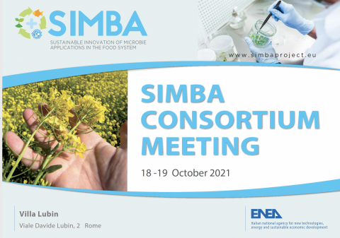 Logo Progetto SIMBA