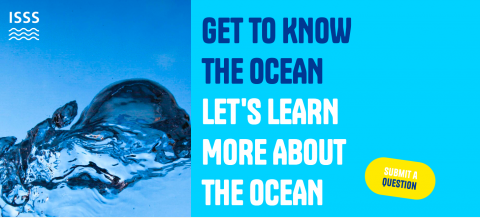 Pagina web GET TO KNOW THE OCEAN