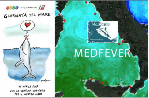 Immagine progetto MedFever e Giornata Nazionale del mare 11 aprile