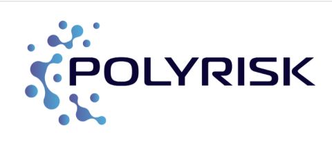 Logo progetto Polyrisk