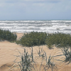 Costa mare dune