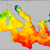 oper_20201221_med_t_00_000_b_piccolo.png images of the Mediterranean Sea Temperature as modelled by MITO 