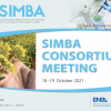 Logo Progetto SIMBA