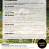 Programma Laboratori