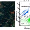 Analisi citofluorimetrica di micro alghe da lago di Bracciano: esempio di analisi citofluorimetrica di un campione vivo di microalghe. Le singole particelle sono caratterizzate da dimensioni e colorazioni fluorescenti diverse, causate dalla presenza di pigmenti fotosintetici di con diverse caratteristiche. La contemporanea analisi di piu’ caratteristiche di una singola particella consente la sua identificazione ed il controllo rapido e preciso dello sviluppo e proliferazione algale.