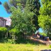 Parco tascabile a Campidoglio Roma