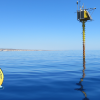 La boa in mare che costituisce l'Osservatorio Oceanografico. Sullo sfondo l'isola di Lampedusa