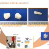 sviluppo di componenti dentali ceramici