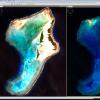 sola di Rowa (Repubblica di Vanuatu): elaborazione a colori naturali (a sinistra) ed a falsi colori (a destra). La presenza di bande che abbracciano diverse regioni dello spettro elettromagnetico permette l'osservazione della superficie terrestre con diverse sintesi cromatiche (immagine European Space Agency - Sentinel-2).