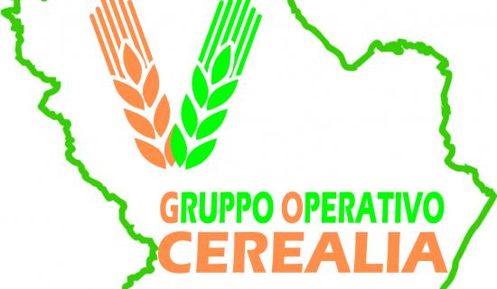 logo Lucan Cereals