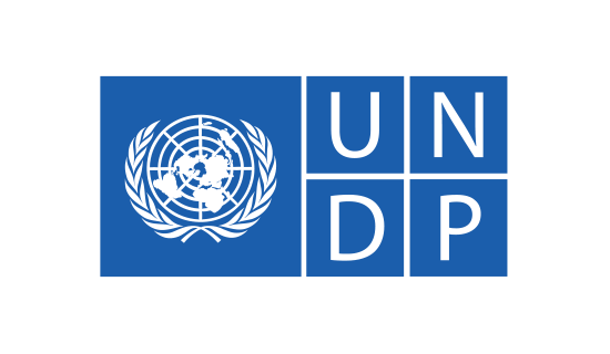 Logo UNDP
