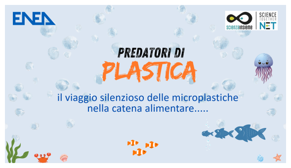 Predatori di plastica MCE