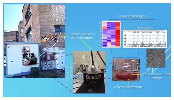 Graphical Abstract progetto VIEPI