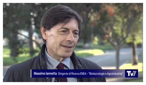 Tv7 M.Iannetta