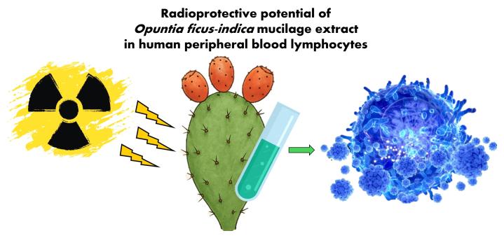 effetto radiprotettivo dell'opuntia