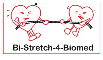 logo bi-stretch