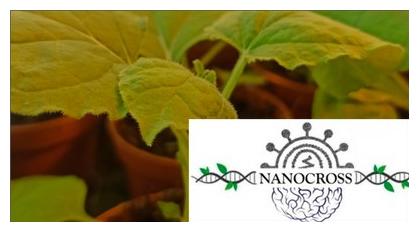 Progetto Nanocross