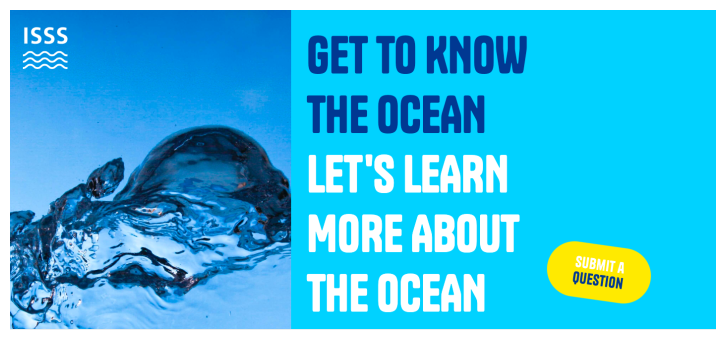 Pagina web GET TO KNOW THE OCEAN