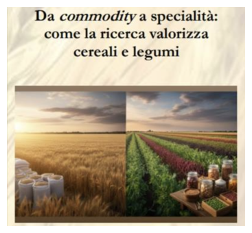 "Da commodity a specialità: come la ricerca valorizza cereali e legumi"