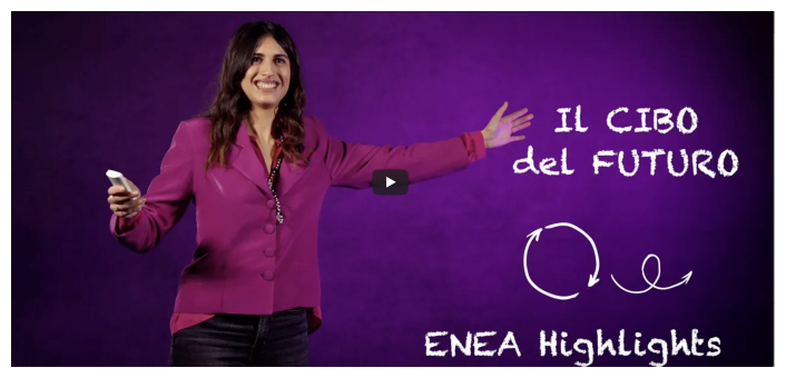 Copertina ENEA Highlights