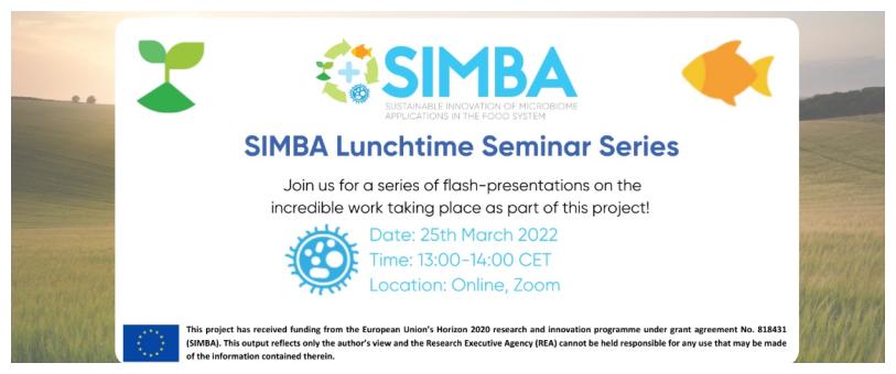 SIMBA seminar