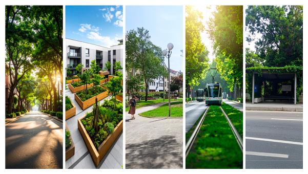 Illustrazione isola di calore