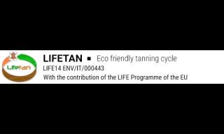 logo LIFETAN logo LIFETAN