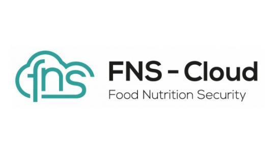 fns-cloud.jpg 