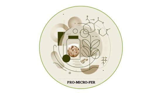 logo pro-micro-fer