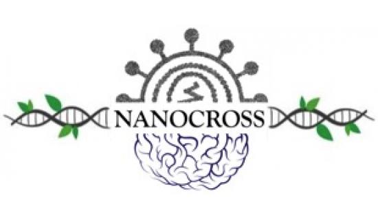 Nanocross