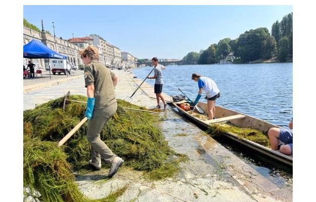 Eradicazione di specie esotiche nel fiume Po