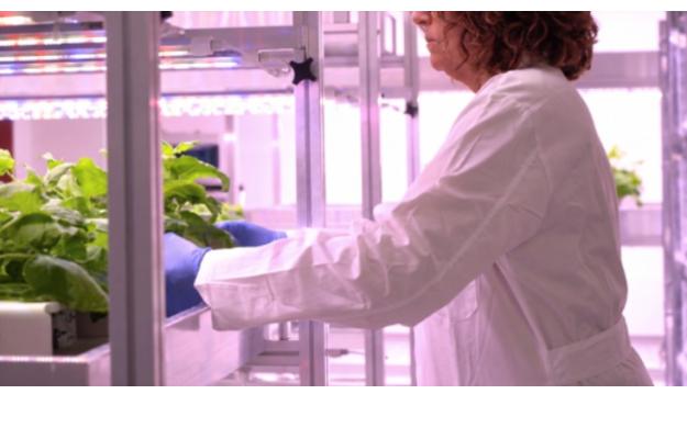 Inaugurato l'impianto PharmaGREEN presso il CR Casaccia