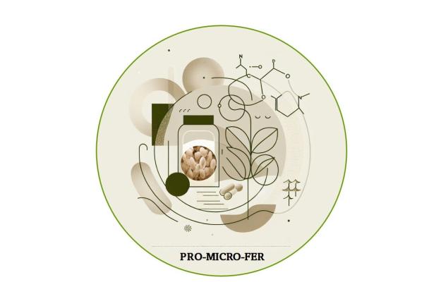 logo  PRO-MICRO-FER