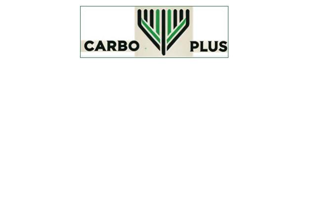 Logo Progetto Carbo Plus