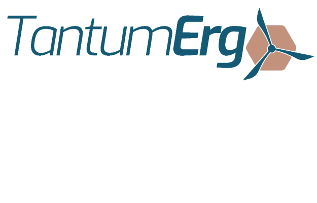 Logo progetto TANTUM ERGO