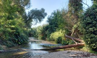 Fiume Farfa Fiume Farfa