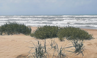 Costa mare dune